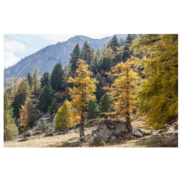 PHOTO84, CLUB, 84 , LUBERON